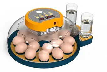 41J0HsHWs5L._SX342_SY445_QL70_FMwebp_