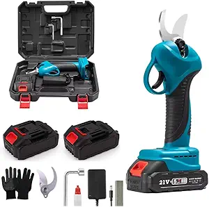 510RNaWX+RL._AC_SY300_SX300_QL70_FMwebp_