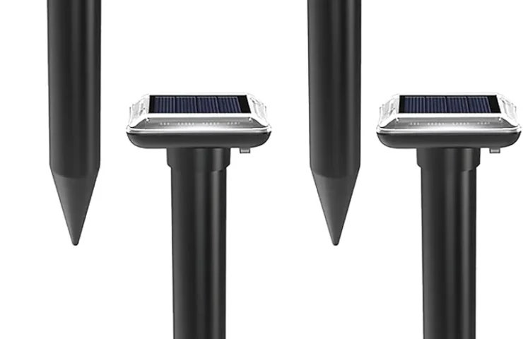 51L+cRcy7zL._AC_UF894,1000_QL80_FMwebp_