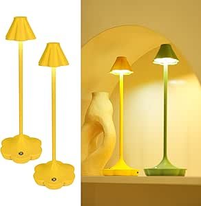 61j9oR728JL._AC_SY300_SX300_QL70_ML2_