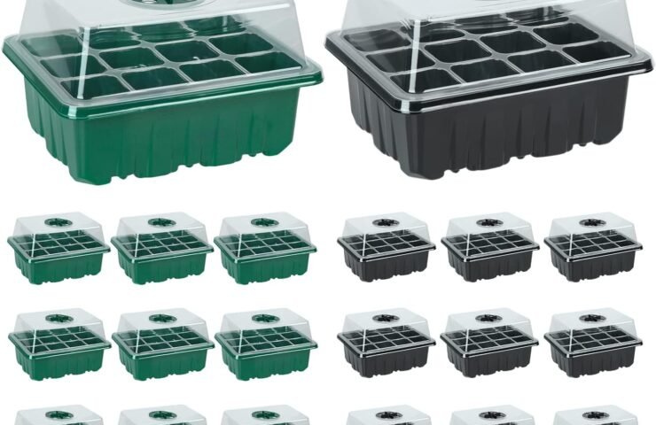 641c7998aefadb263742bc66-jeria-20-packs-240-cell-seedling