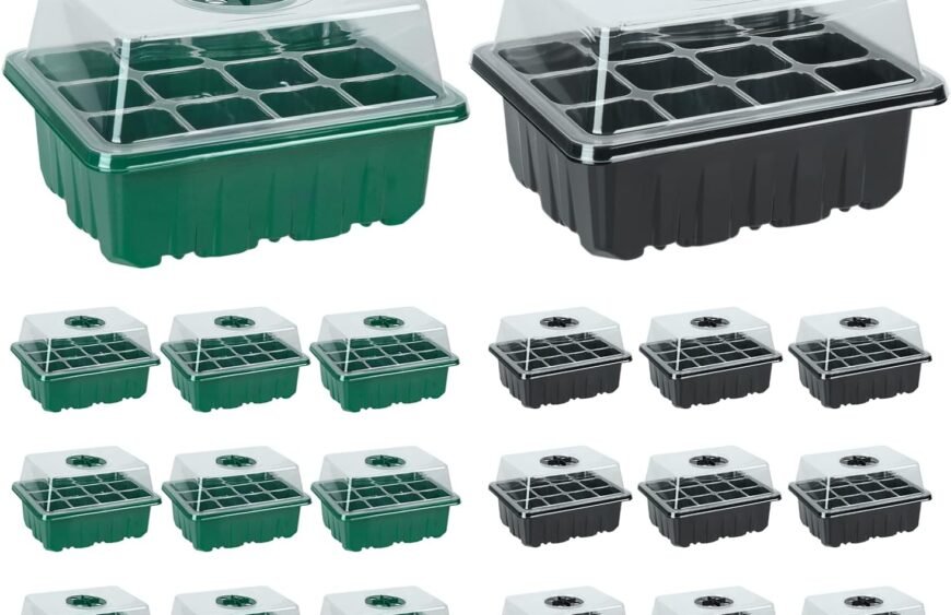 641c7998aefadb263742bc66-jeria-20-packs-240-cell-seedling