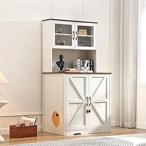 71LOvCEj9tL._AC_SY300_SX300_QL70_FMwebp_