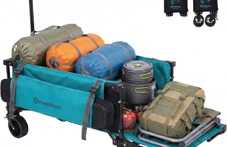 71Lvbcqgz7L._AC_UF894,1000_QL80_FMwebp_