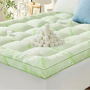 71TTDOwz2lL._AC_SY300_SX300_QL70_FMwebp_