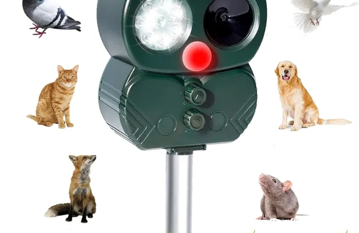 71djSfRtOXL._AC_UF1000,1000_QL80_FMwebp_