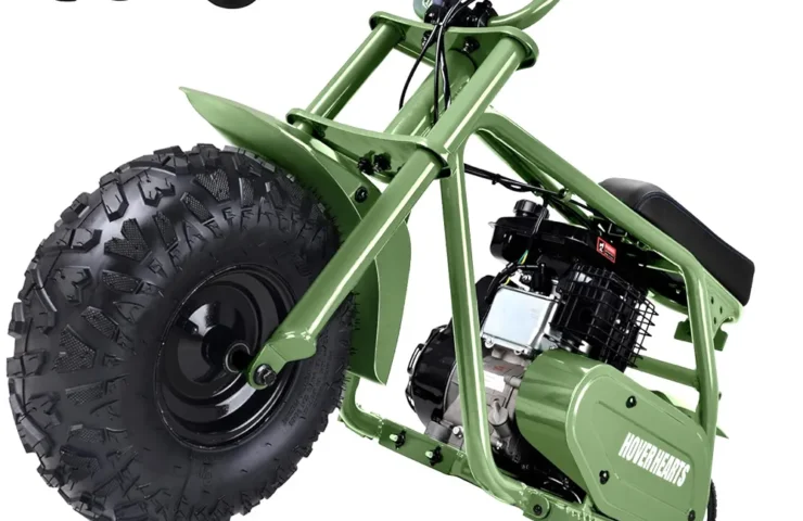 71tTggI2+gL._AC_UF1000,1000_QL80_FMwebp_