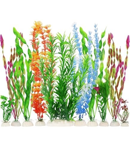 81fyncxmeTL._AC_UL495_SR435,495_