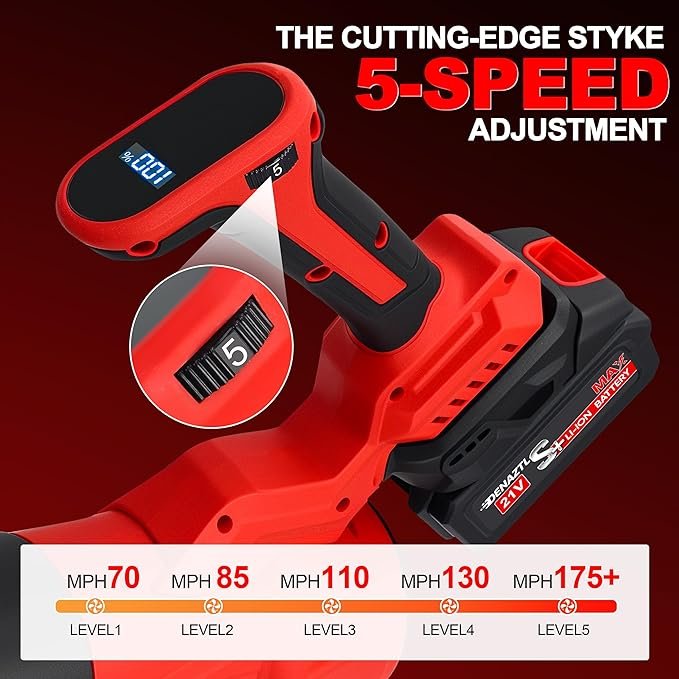 81t250wbpvL._AC_SX679_