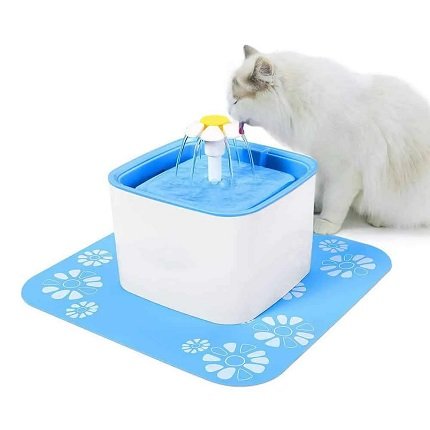 water-fountain-for-pets