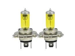 download – 2026-03-10T185015.667