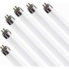 download – 2026-03-10T192432.520