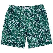 download – 2026-03-10T232913.557