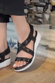 download – 2026-03-11T220913.166