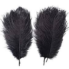 download – 2026-03-13T005720.233