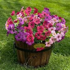 download – 2026-03-15T225850.510