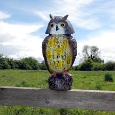 download – 2026-03-17T185951.302