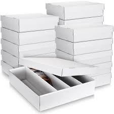 download – 2026-03-19T003140.199