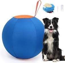 download – 2026-03-20T223332.641