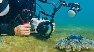 download – 2026-03-21T005039.271