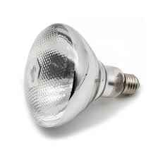 download – 2026-04-01T000550.502