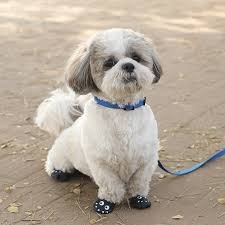 download – 2026-04-01T212403.303