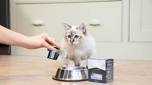 download – 2026-04-03T174437.582