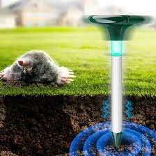 download – 2026-04-07T195035.930