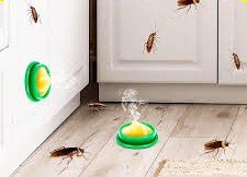 download – 2026-04-08T190606.368